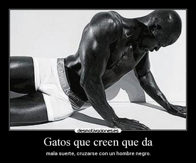 Gatos que creen que da - mala suerte, cruzarse con un hombre negro.