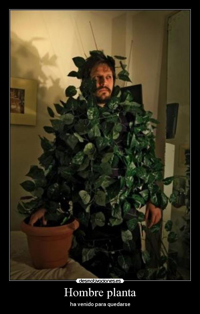 Hombre planta - 