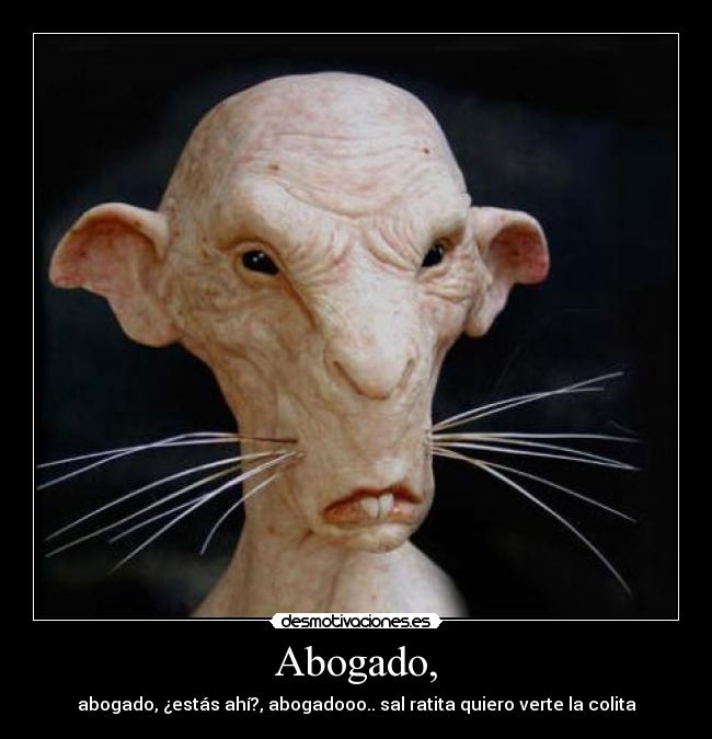 Abogado, - 