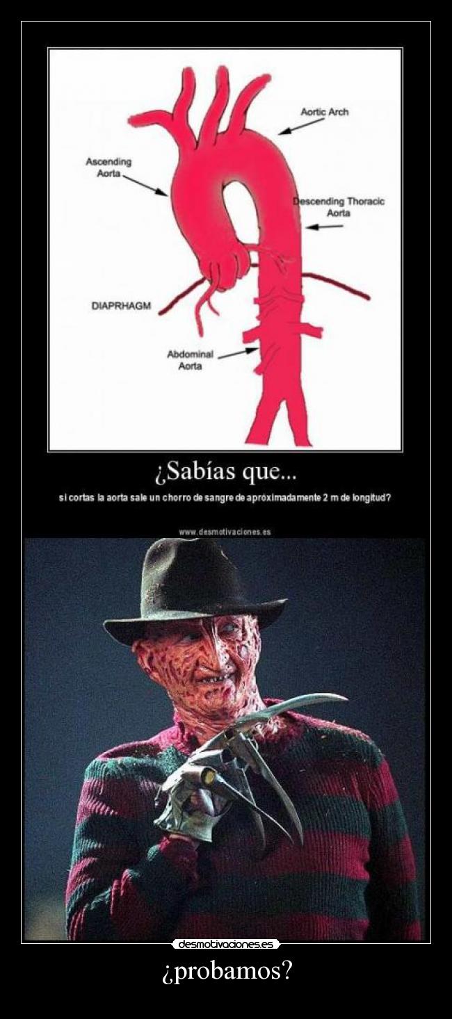 carteles fail desmotivaciones