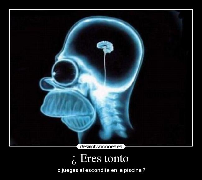 ¿ Eres tonto  - o juegas al escondite en la piscina ?