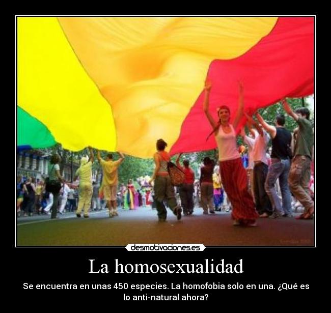 La homosexualidad - 