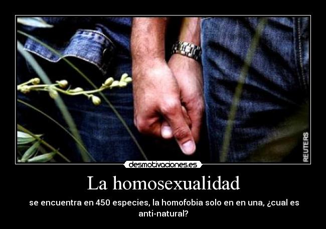 La homosexualidad -