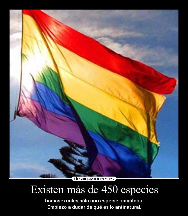 Existen más de 450 especies - homosexuales,sólo una especie homófoba.
Empiezo a dudar de qué es lo antinatural.