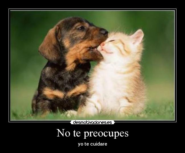 No te preocupes - yo te cuidare