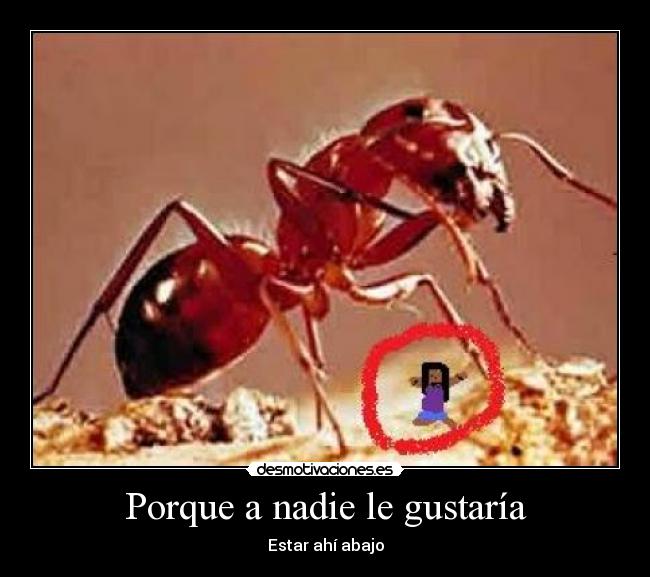 Porque a nadie le gustaría -