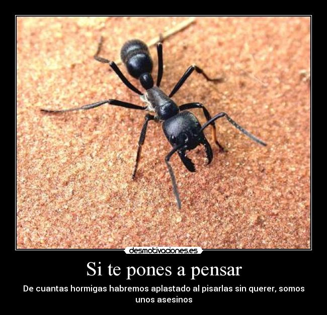 Si te pones a pensar - 