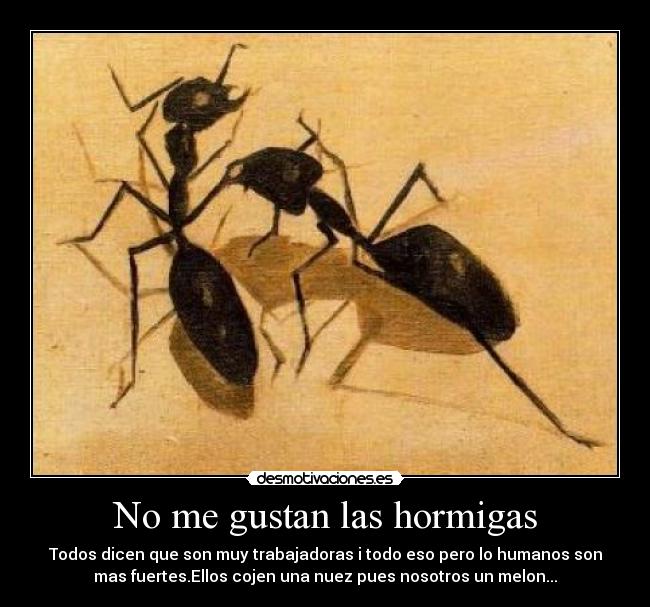 No me gustan las hormigas - 