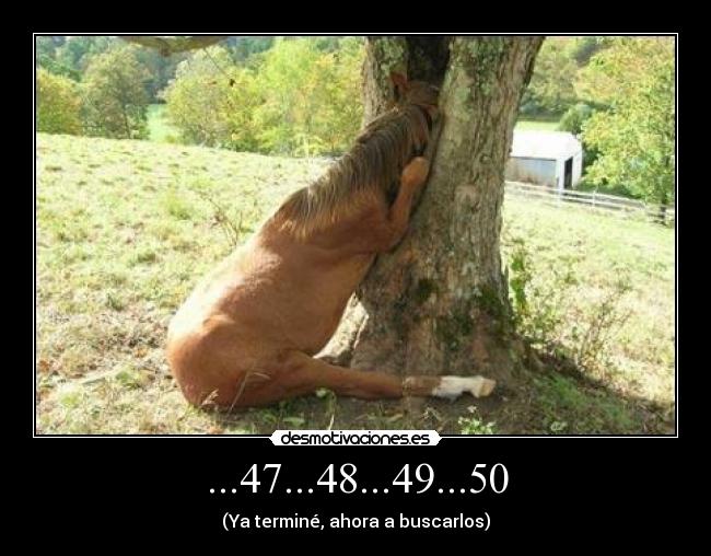 ...47...48...49...50 - 