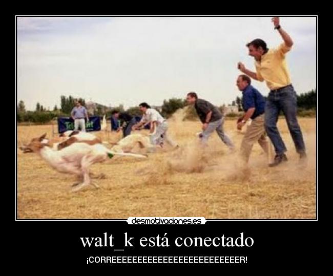 walt_k está conectado - ¡CORREEEEEEEEEEEEEEEEEEEEEEEEER!