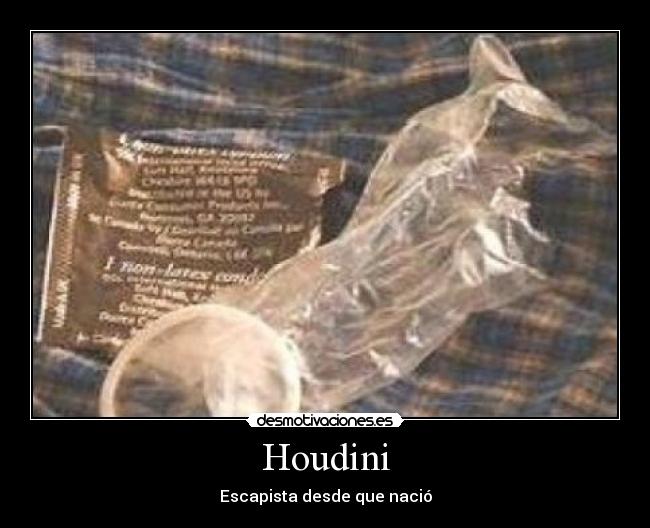Houdini - 