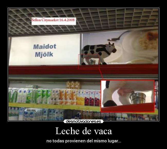 Leche de vaca -