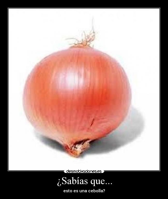 ¿Sabías que... - esto es una cebolla?