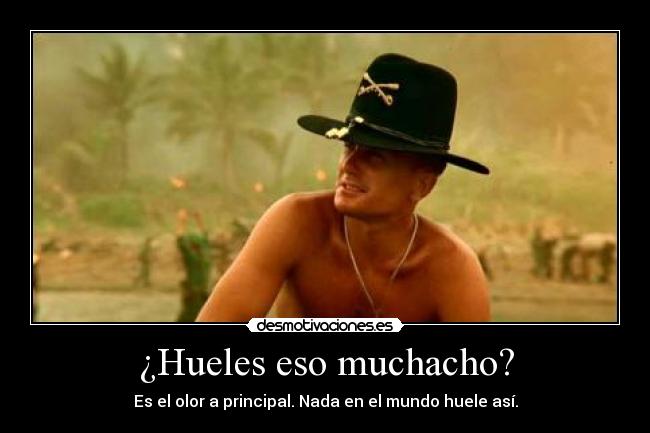 ¿Hueles eso muchacho? - 