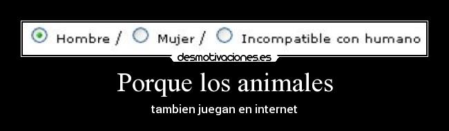 Porque los animales -