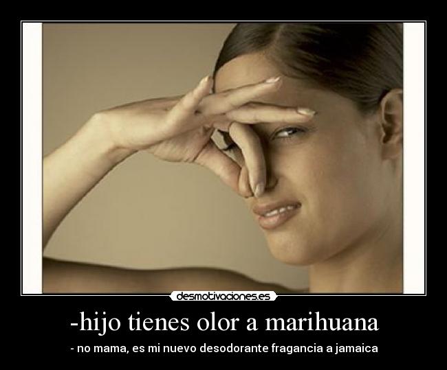 -hijo tienes olor a marihuana - 