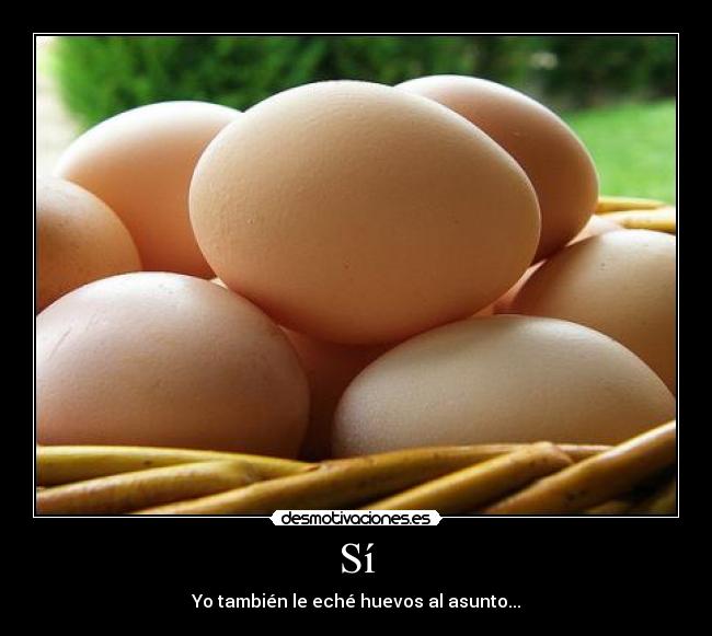 carteles carmen flores hurtado desmotivaciones