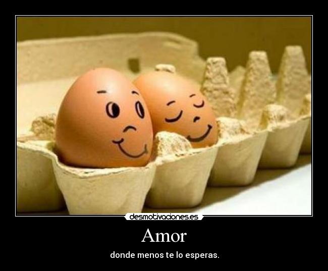 Amor -