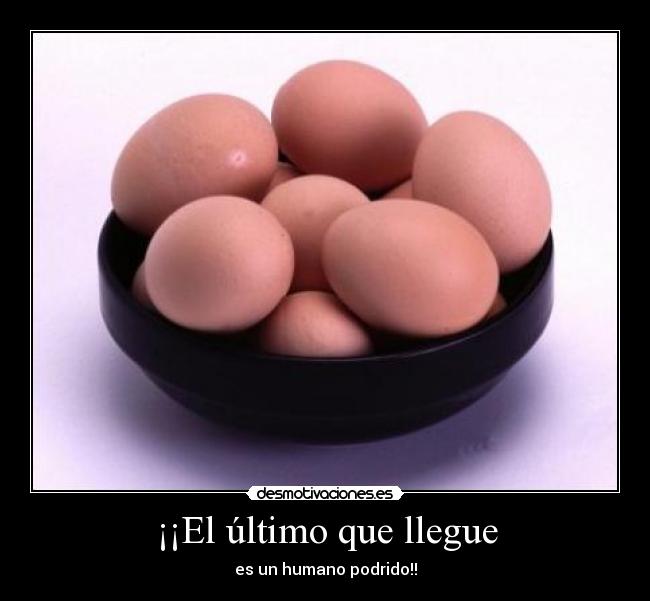 carteles huevos desmotivaciones