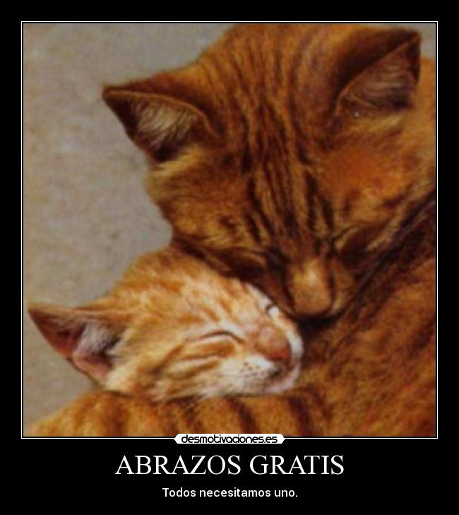 carteles abrazos amistad desmotivaciones