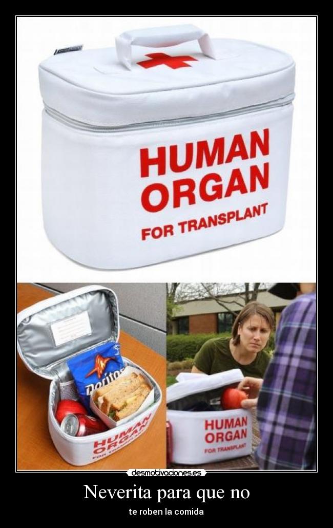 Neverita para que no - te roben la comida