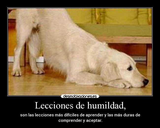 Lecciones de humildad, - 