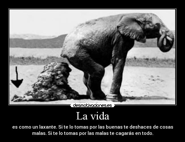 La vida - 