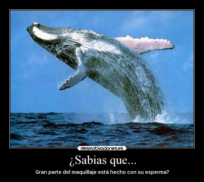 ¿Sabias que... - Gran parte del maquillaje está hecho con su esperma?