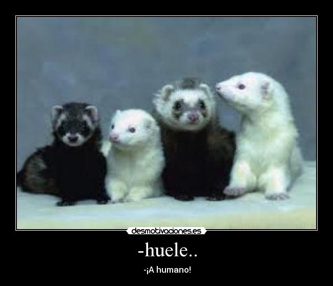 -huele.. -