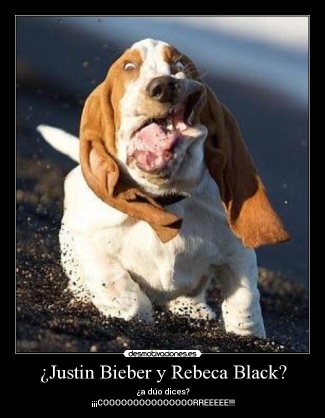 ¿Justin Bieber y Rebeca Black? -