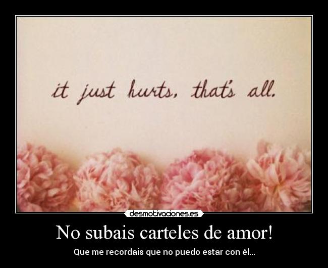 No subais carteles de amor! - 