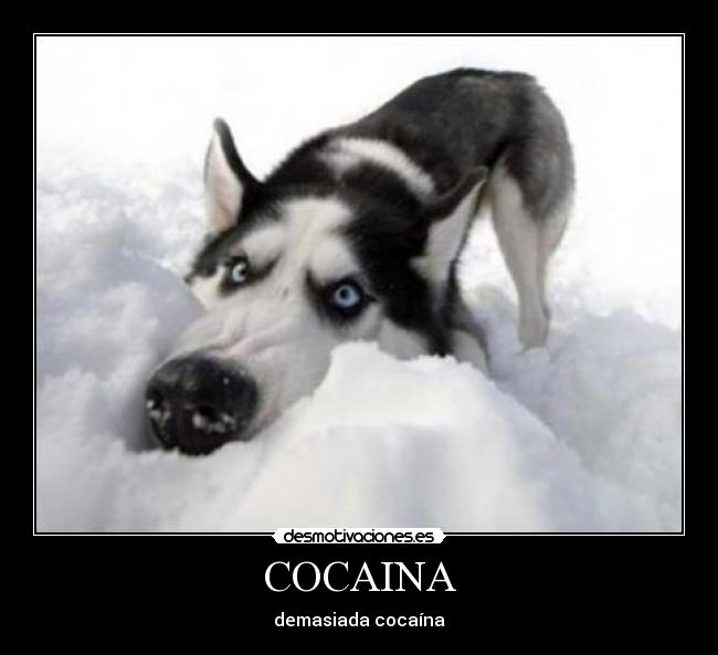 COCAINA - 