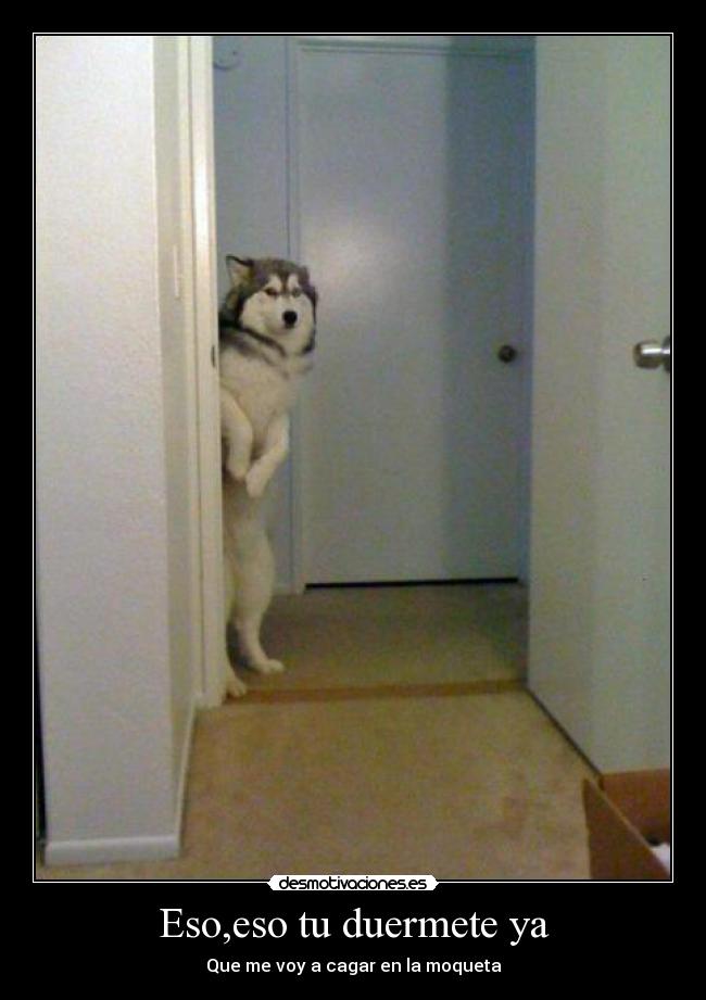 Eso,eso tu duermete ya -