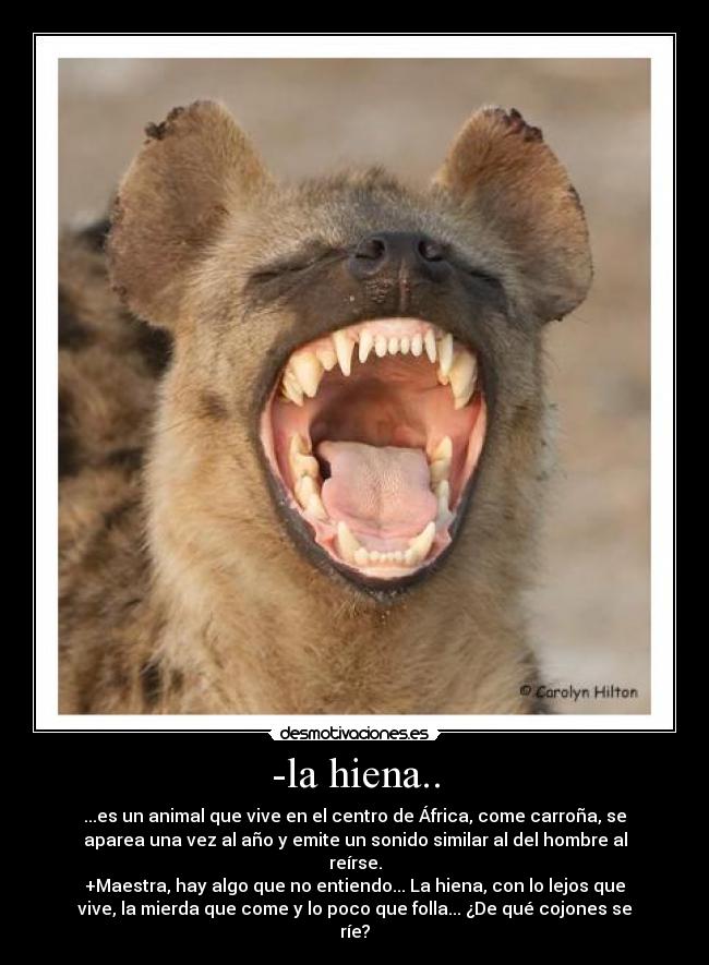 -la hiena.. -