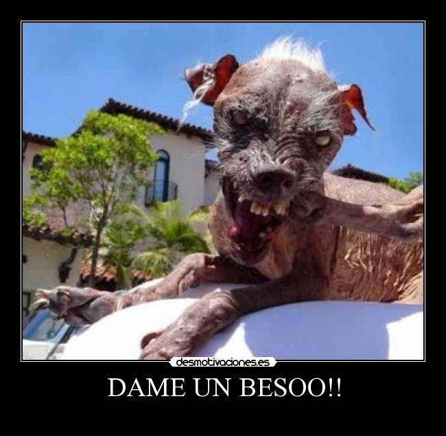 DAME UN BESOO!! -