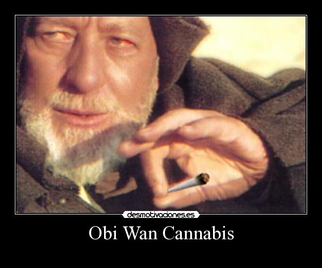 Obi Wan Cannabis -