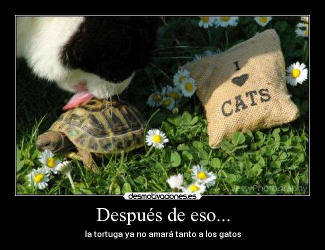 Después de eso... - 