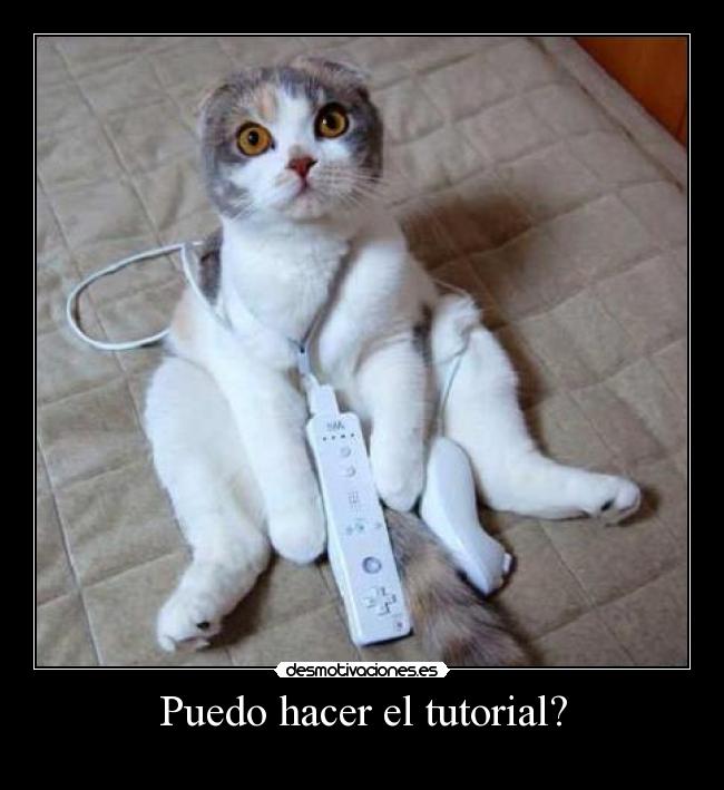 Puedo hacer el tutorial? -