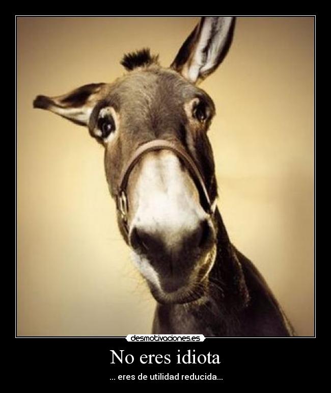 No eres idiota - ... eres de utilidad reducida...