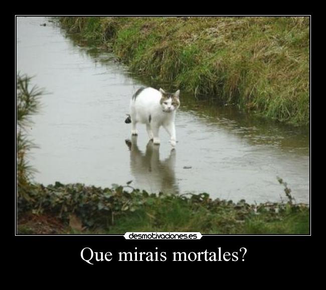 Que mirais mortales? -