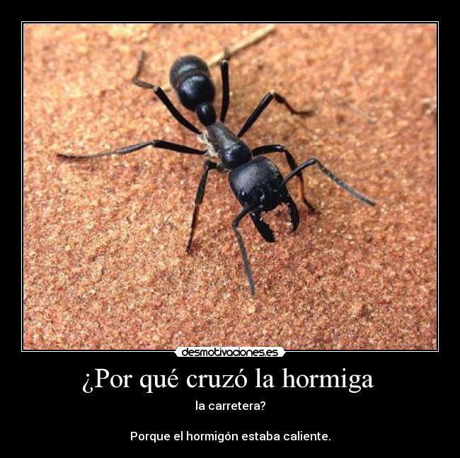 carteles desmotivaciones