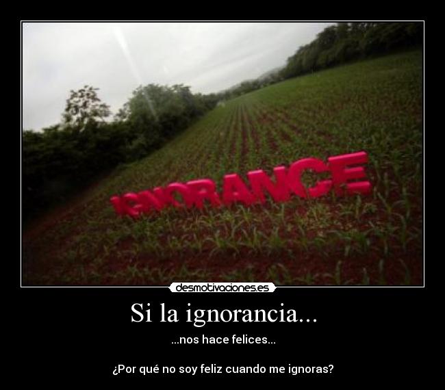 Si la ignorancia... - ...nos hace felices...

¿Por qué no soy feliz cuando me ignoras?