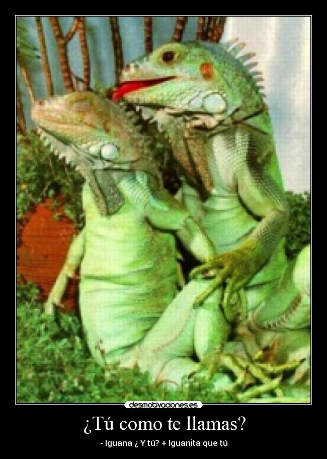 carteles iguana princpal desmotivaciones