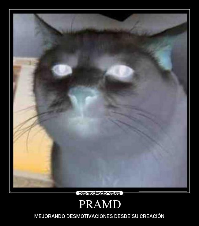 PRAMD -