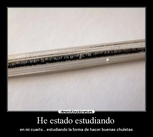 He estado estudiando  - 