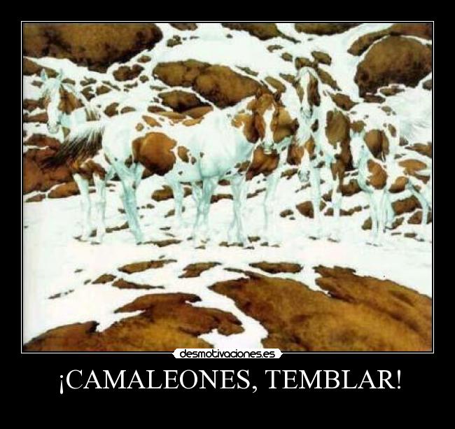 ¡CAMALEONES, TEMBLAR! - 
