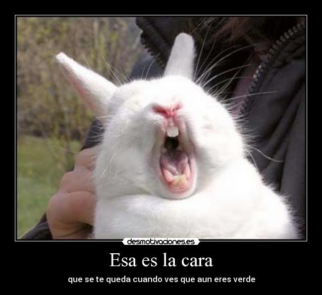 Esa es la cara - que se te queda cuando ves que aun eres verde