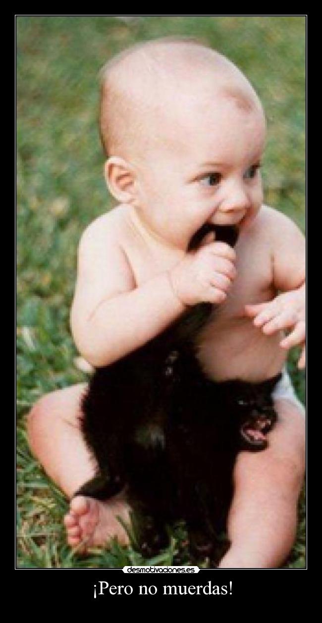 ¡Pero no muerdas! -