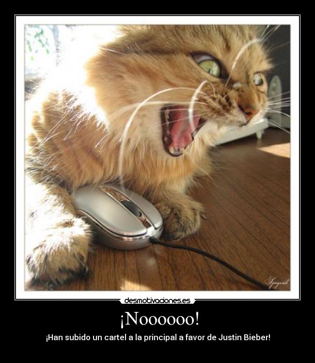 ¡Noooooo! - ¡Han subido un cartel a la principal a favor de Justin Bieber!