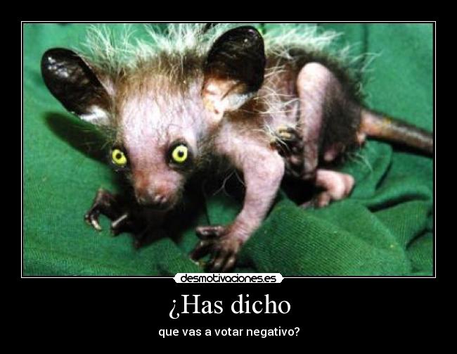 ¿Has dicho - que vas a votar negativo?